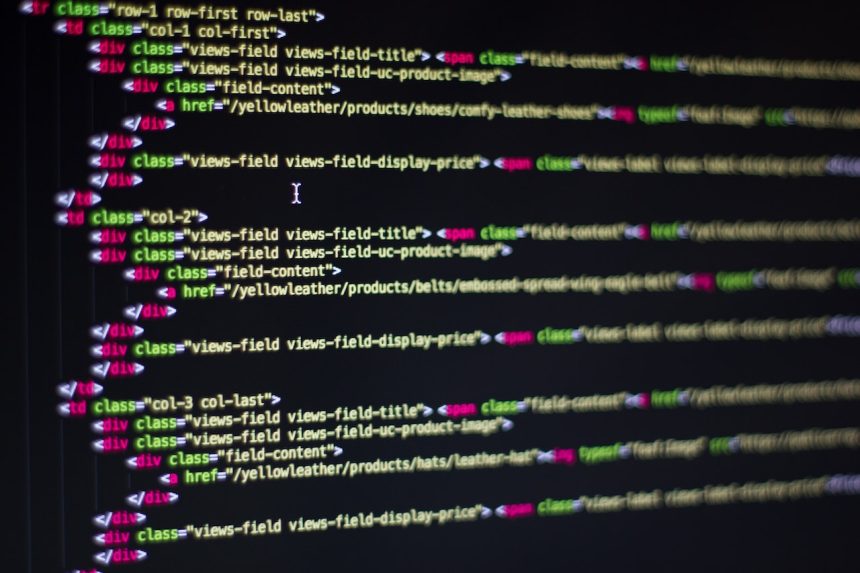 professional WordPress design and development