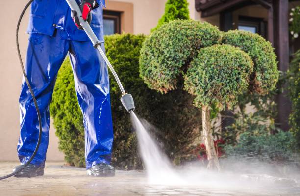 professional concrete cleaning services