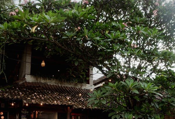 folding mobility scooters